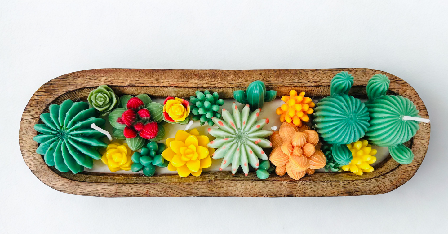 Handmade Cactus Garden Wooden Bowl Candle – Eco Wax, Unique Succulent Design, Long Rustic Centerpiece | Candliya