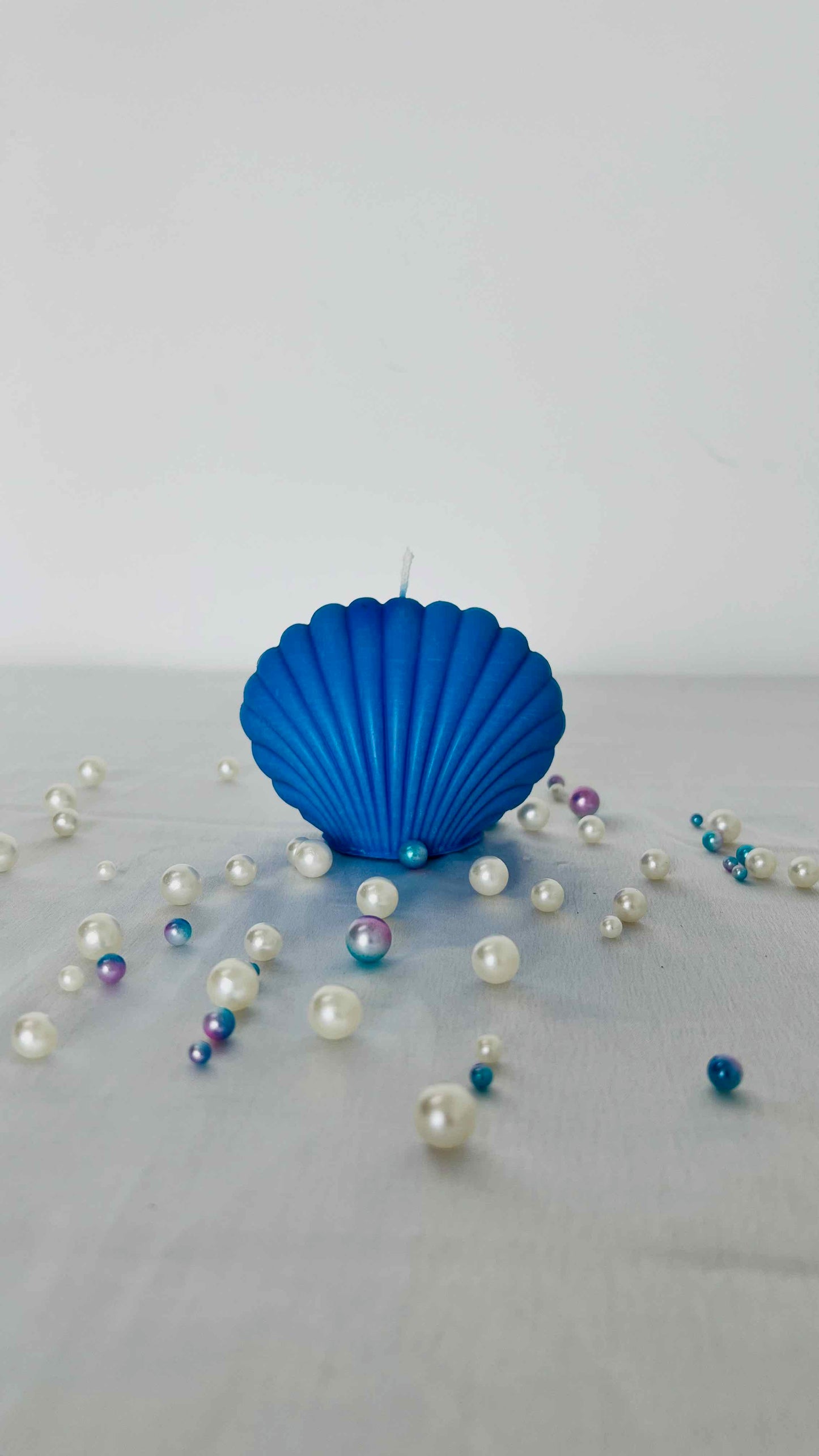 Shimmering Sea Shell Candle – Realistic Coastal Glow in White & Ocean Blue, Beach Décor Accent | Candliya