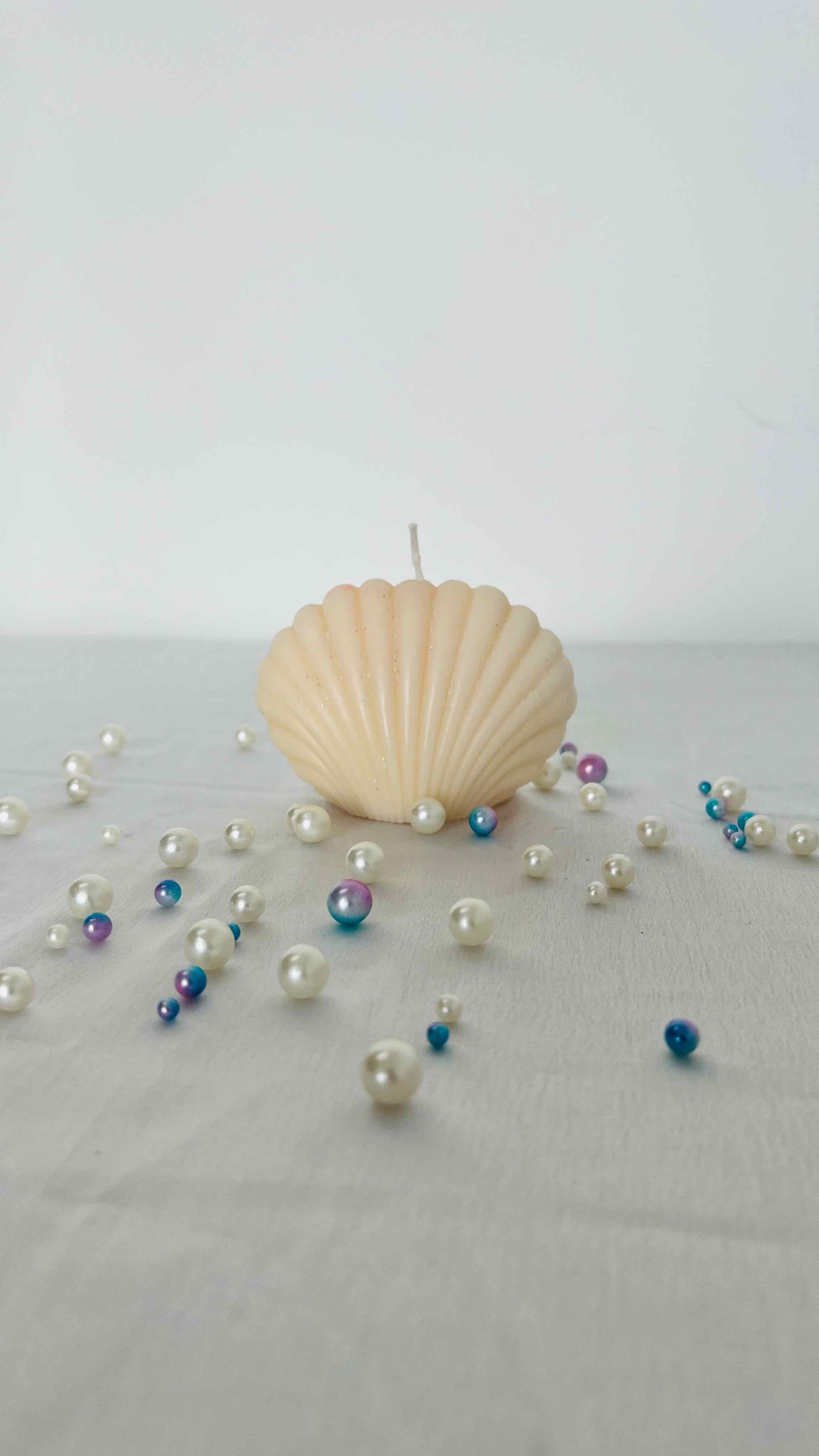 Shimmering Sea Shell Candle – Realistic Coastal Glow in White & Ocean Blue, Beach Décor Accent | Candliya